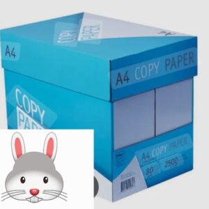 A3 Ream paper 80gm (500sheets)