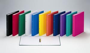 2 D -Ring Binder A4 25mm BLUE PP